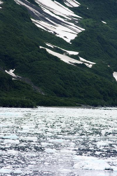 IMG_0420 copy.jpg - Cold (Near Hubbel Glacier)